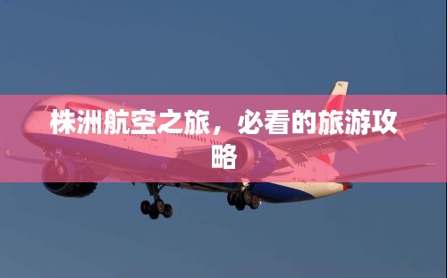 不求甚解 第2頁(yè)