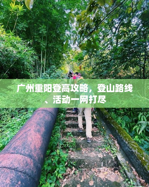 廣州重陽(yáng)登高攻略，登山路線、活動(dòng)一網(wǎng)打盡