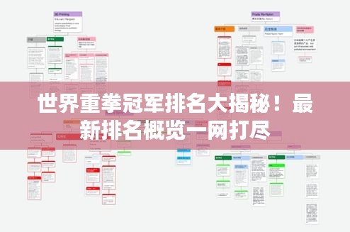 世界重拳冠軍排名大揭秘！最新排名概覽一網(wǎng)打盡