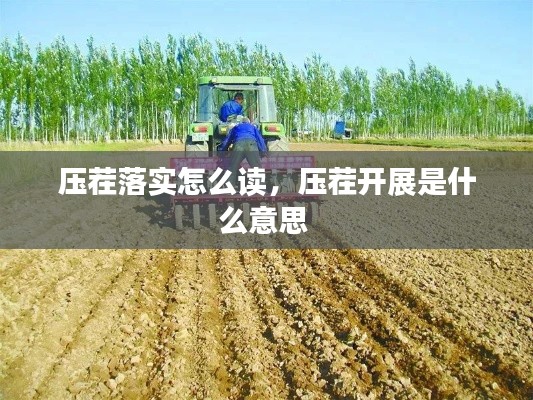 壓茬落實(shí)怎么讀，壓茬開展是什么意思 