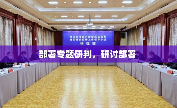 部署專題研判，研討部署 