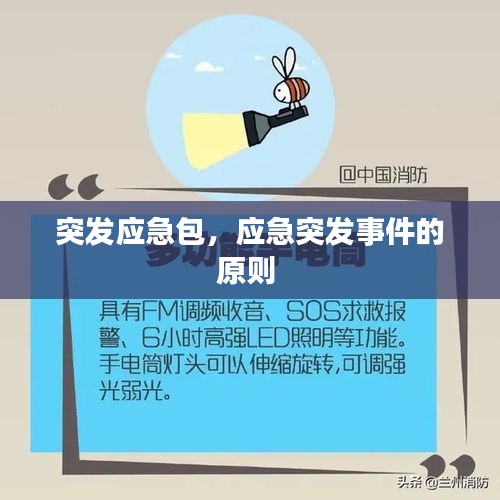 突發(fā)應急包，應急突發(fā)事件的原則 