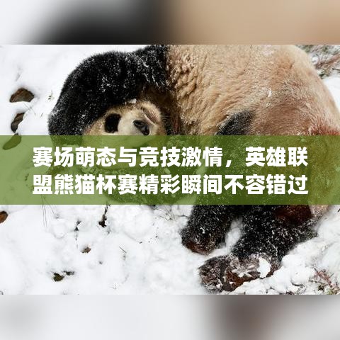 賽場萌態(tài)與競技激情，英雄聯(lián)盟熊貓杯賽精彩瞬間不容錯(cuò)過！