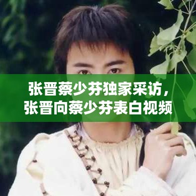 張晉蔡少芬獨家采訪，張晉向蔡少芬表白視頻 