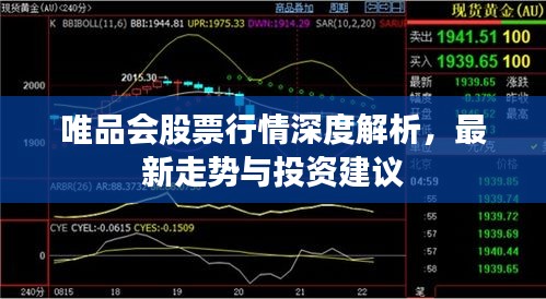 唯品會(huì)股票行情深度解析，最新走勢(shì)與投資建議