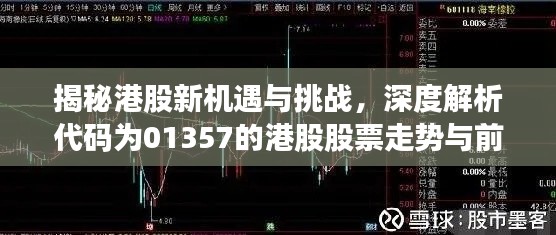 揭秘港股新機(jī)遇與挑戰(zhàn)，深度解析代碼為01357的港股股票走勢(shì)與前景分析