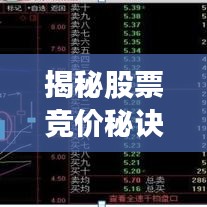 揭秘股票競(jìng)價(jià)秘訣，輕松掌握股市入門技巧