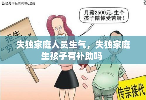 失獨家庭人員生氣，失獨家庭生孩子有補助嗎 