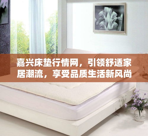 嘉興床墊行情網(wǎng)，引領(lǐng)舒適家居潮流，享受品質(zhì)生活新風(fēng)尚