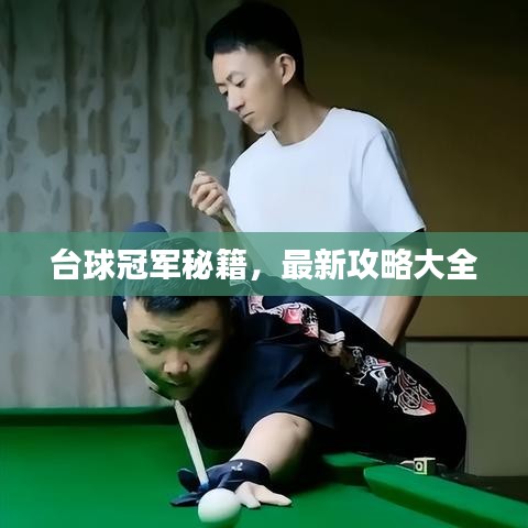 臺球冠軍秘籍，最新攻略大全