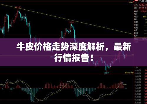 牛皮價格走勢深度解析，最新行情報告！