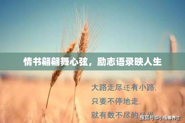 虛張聲勢(shì) 第2頁(yè)