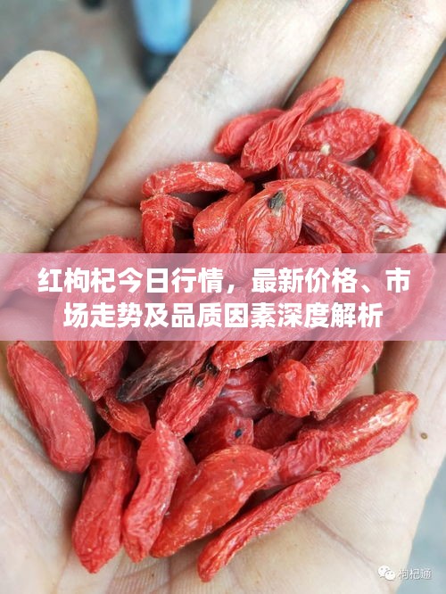 紅枸杞今日行情，最新價格、市場走勢及品質(zhì)因素深度解析