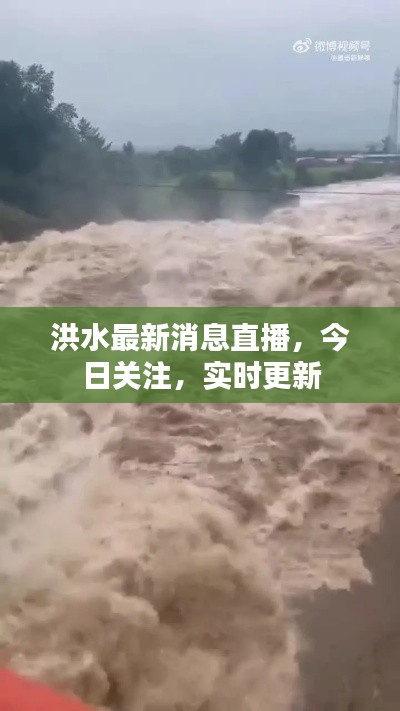 洪水最新消息直播，今日關(guān)注，實(shí)時(shí)更新