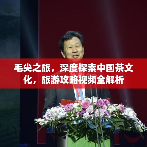 毛尖之旅，深度探索中國茶文化，旅游攻略視頻全解析