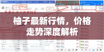 柚子最新行情，價(jià)格走勢(shì)深度解析