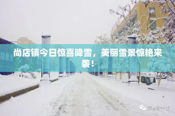 尚店鎮(zhèn)今日驚喜降雪，美麗雪景驚艷來(lái)襲！