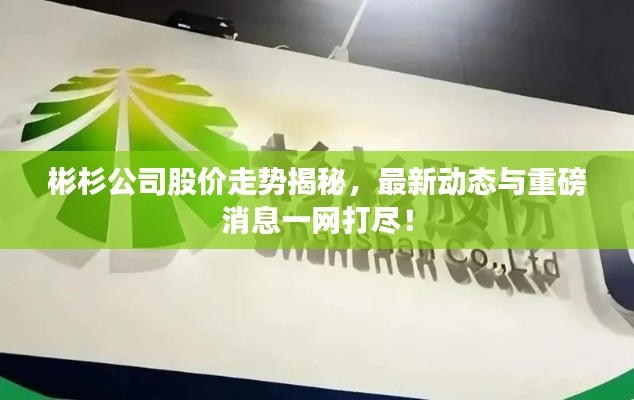彬杉公司股價走勢揭秘，最新動態(tài)與重磅消息一網(wǎng)打盡！