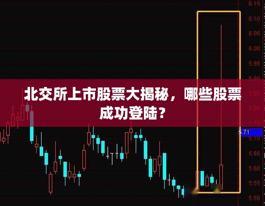 北交所上市股票大揭秘，哪些股票成功登陸？