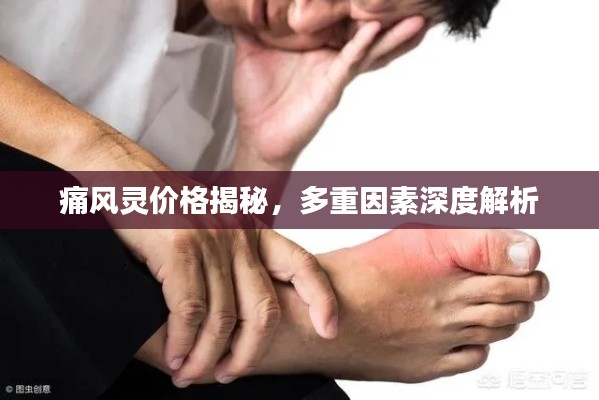 痛風(fēng)靈價(jià)格揭秘，多重因素深度解析