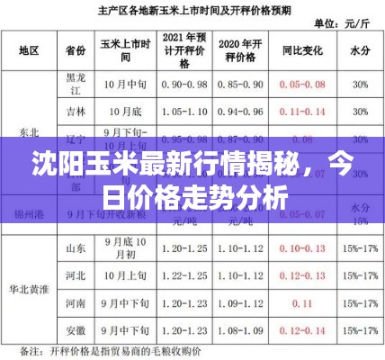 沈陽玉米最新行情揭秘，今日價格走勢分析