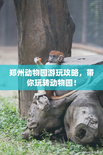 鄭州動物園游玩攻略，帶你玩轉動物園！