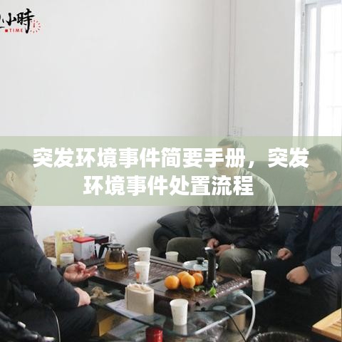 突發(fā)環(huán)境事件簡要手冊，突發(fā)環(huán)境事件處置流程 