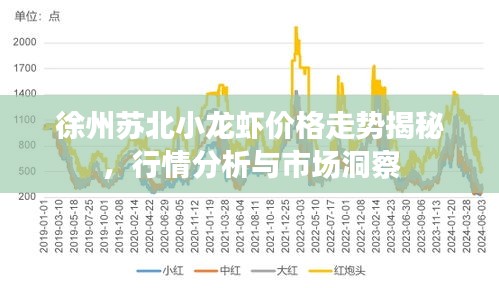 徐州蘇北小龍蝦價格走勢揭秘，行情分析與市場洞察