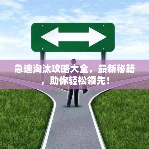 急速淘汰攻略大全，最新秘籍，助你輕松領(lǐng)先！