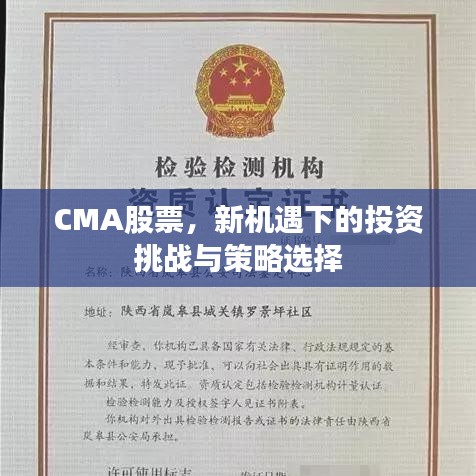 CMA股票，新機(jī)遇下的投資挑戰(zhàn)與策略選擇