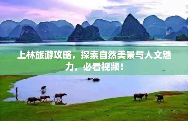 上林旅游攻略，探索自然美景與人文魅力，必看視頻！
