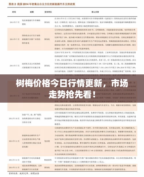 樹梅價格今日行情更新，市場走勢搶先看！