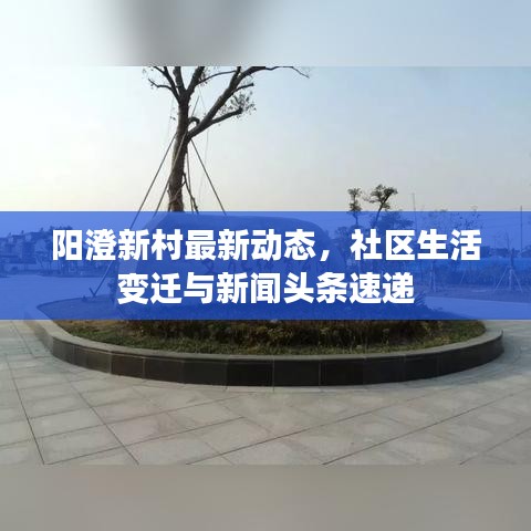 陽澄新村最新動(dòng)態(tài)，社區(qū)生活變遷與新聞?lì)^條速遞