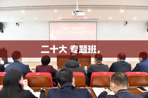二十大 專題班， 