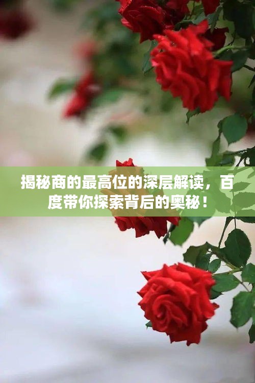 揭秘商的最高位的深層解讀，百度帶你探索背后的奧秘！