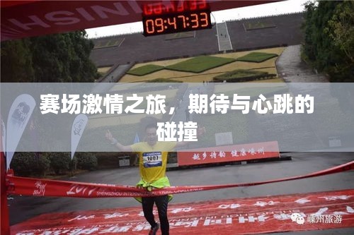 賽場(chǎng)激情之旅，期待與心跳的碰撞