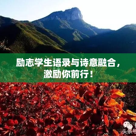 勵(lì)志學(xué)生語錄與詩意融合，激勵(lì)你前行！
