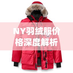 NY羽絨服價(jià)格深度解析，了解真實(shí)價(jià)格，選購(gòu)更明智！