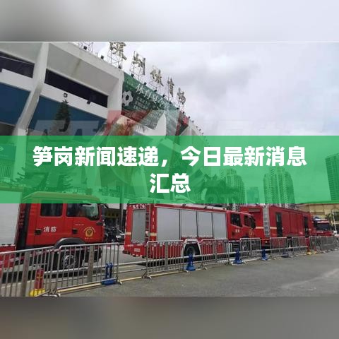 筍崗新聞速遞，今日最新消息匯總