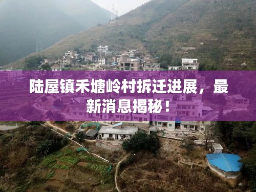 陸屋鎮(zhèn)禾塘嶺村拆遷進(jìn)展，最新消息揭秘！