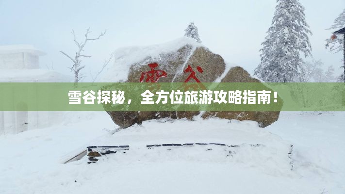 雪谷探秘，全方位旅游攻略指南！