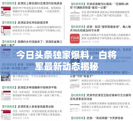 今日頭條獨家爆料，白將軍最新動態(tài)揭秘