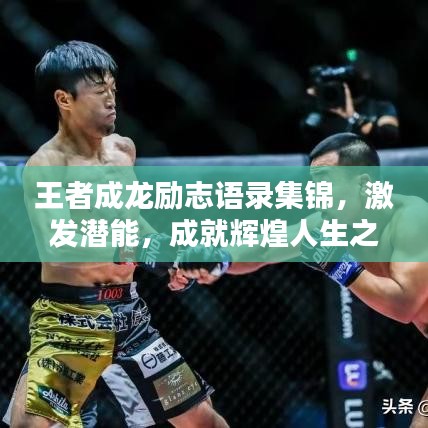 王者成龍勵志語錄集錦，激發(fā)潛能，成就輝煌人生之路