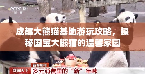 成都大熊貓基地游玩攻略，探秘國寶大熊貓的溫馨家園