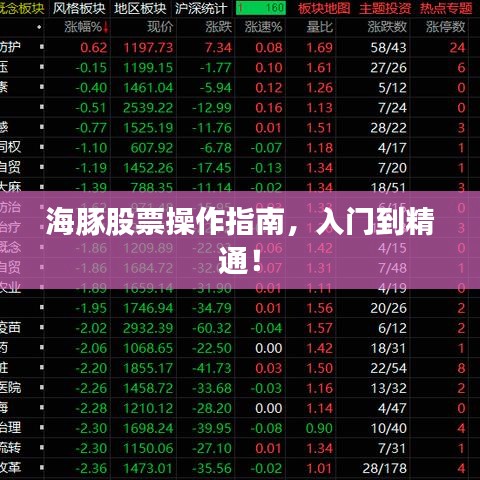 海豚股票操作指南，入門到精通！