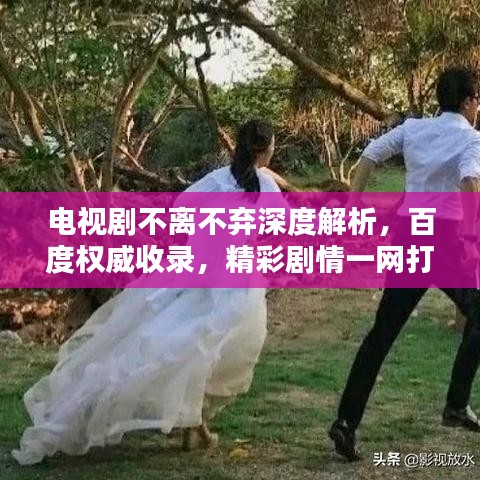 電視劇不離不棄深度解析，百度權(quán)威收錄，精彩劇情一網(wǎng)打盡！