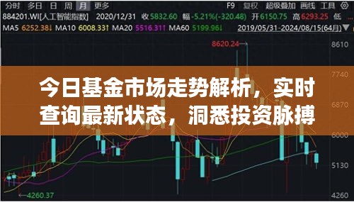今日基金市場(chǎng)走勢(shì)解析，實(shí)時(shí)查詢最新?tīng)顟B(tài)，洞悉投資脈搏，把握財(cái)富機(jī)遇！