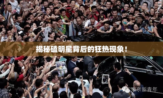 揭秘磕明星背后的狂熱現(xiàn)象！