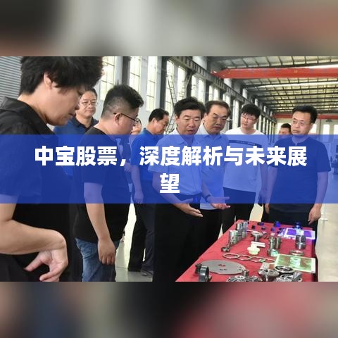 中寶股票，深度解析與未來展望
