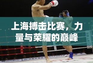 上海搏擊比賽，力量與榮耀的巔峰對決！